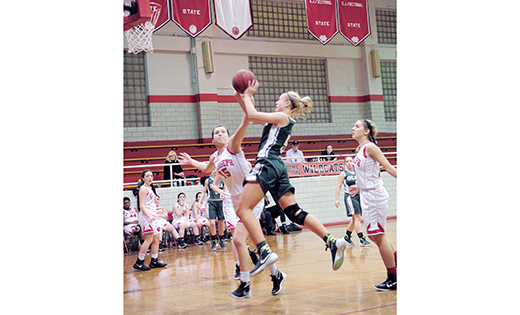 In high school girls’ basketball, Newfield’s Our Lady of Mercy Academy defeated Saint Joseph Regional in Hammonton, 41-31 on Feb. 16. Above, the Wildcats’ Nicole Fox (15) tries to stop the Villagers’ Katie Kavanaugh.

Photo by Alan M. Dumoff, more photos ccdphotolibrary.smugmug.com