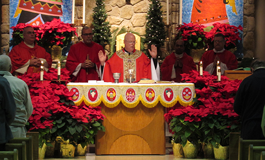 Father Robert Hughes, Vicar General, Diocese of Camden, celebrates Mass for Stephen Ministers at Holy Family Church, Sewell on the feast of Saint Stephen, Dec. 26, 2016.
