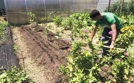 A Camden resident works in a garden maintained by the Center for Environmental Transformation.