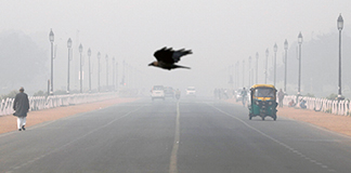 A bird flies through smog in New Delhi, India, Nov. 13, 2019. Pope Francis told participants at a Vatican City conference on criminal justice Nov. 15, that there are plans to include a definition of ecological sins in the Catechism of the Catholic Church. (CNS photo/Anushree Fadnavis, Reuters) See POPE-LAW-ECOLOGY Nov. 15, 2019.