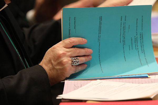 A bishop looks over paperwork during a Nov. 17 session of the fall general assembly of the U.S. Conference of Catholic Bishops in Baltimore. (CNS photo/Bob Roller)