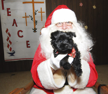 christmasevents3-web