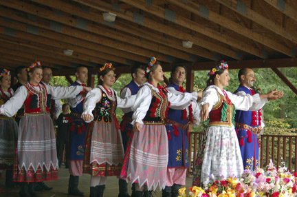 polishfestival-web
