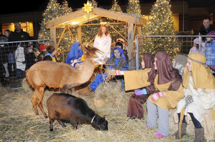 livenativity-web