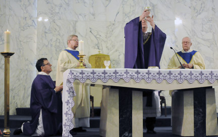 sacredhearthsstjosephsociety-web
