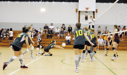 volleyball-web