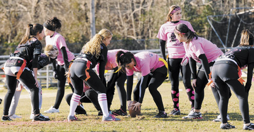 powderpuff-web