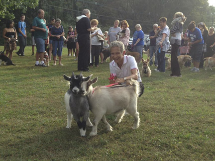 blessinganimals2-web