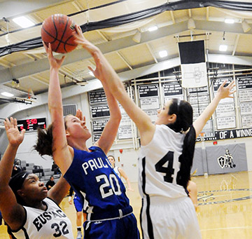 basketball-web