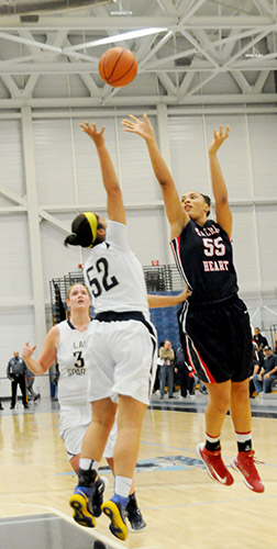 basketball1-web