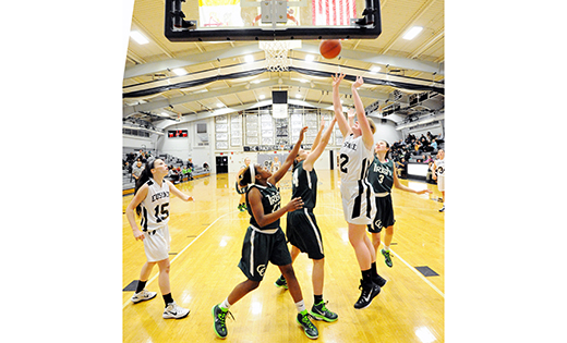 Visiting Camden Catholic (Cherry Hill) defeated Bishop Eustace (Pennsauken) 67-40 on Jan. 13, in high school girl’s basketball. Above, the Crusaders’ Elizabeth Radley goes up for 2.

Photo by Alan M. Dumoff, http://ccdphotolibrary.smugmug.com