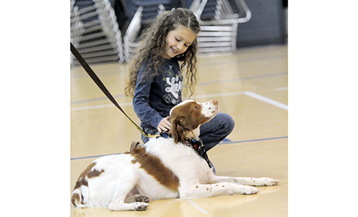 Ava Anderson, a second grader at St. Mary School, Vineland, pets Rusty, a 2-year-old therapy dog with Fido & Friends Assisted Therapy Group. The school recently hosted a night of service in association with several local organizations: Fido & Friends, Wildlife Refuge, Smiles for Soldiers, Nickels for Nets, Books and Blankets, Blessing Bags and Family Promise. After collecting donations of towels, blankets, books, toiletries and nickels, the school spent the night packaging care bags for the homeless, blankets for children, art for soldiers, dog treats and bird feeders for the ASPCA, and rolling nickels to save children from malaria.

Photo by Alan M. Dumoff