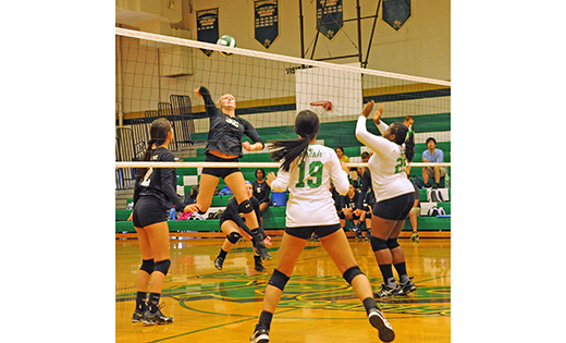 Paul VI’s Julia Bobrick prepares to strike during her team’s volleyball game against Camden Catholic on Sept. 28 in Cherry Hill. The visiting Haddonfield girls defeated the home team, 2-0.

Photo by Alan M. Dumoff