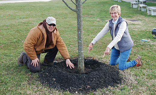 Scott Omahne, foreman for Sacred Heart Cemetery in Vineland, and Sue Fenili, a member of the city’s Environmental Commission, show off proper mulching technique around one of the 72 acre-cemetery’s trees.

Photo by Peter G. Sánchez