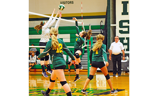 Photo by Alan M. Dumoff


Last week, the high school volleyball teams of Camden Catholic High School, Cherry Hill (green) and Our Lady of Mercy Academy, Newfield (white) scrimmaged against each other, both teams preparing for the upcoming season.