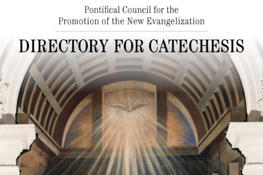 This is the cover of the updated "Directory for Catechesis." The English version directory of the directory is still being translated, but the U.S. Conference of Catholic Bishops is taking pre-orders. (CNS photo/USCCB) See VATICAN-CATECHETICAL-DIRECTORY and BARRON-CATECHETICAL-DIRECTORY June 25, 2020.