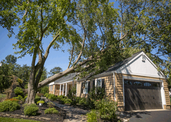 A tree rests Sept. 2 on the house of Will Toth, 16, who attends Gloucester Catholic Junior Senior High School. Photo by Dave Hernandez
