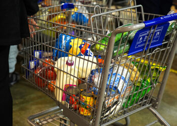Groceries selected by a client Nov. 15 are pulled through the food pantry operated by the Indianapolis Council of the Society of St. Vincent de Paul in Indianapolis. Clients can choose from about 150 different food products based on a point system. (CNS photo/Katie Rutter) See FOOD-PANTRY-THANKSGIVING Nov. 20, 2018.