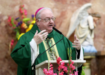 Bishop Dennis Sullivan addresses the crowd in Spanish during Mass.
