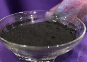 Ashes are pictured in a display on the altar during Lent at Jesus the Good Shepherd Church in Dunkirk, Md., April 7, 2022. (OSV News photo/CNS file, Bob Roller)