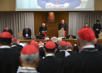 Cardinals gather in the New Synod Hall at the Vatican for their fifth general congregation meeting April 28, 2025. (CNS photo/Vatican Media)