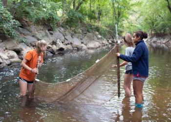 In a photo from fall 2019, students in an environmental studies class at Stone Ridge School of the Sacred Heart in Bethesda, Md., conduct a stream study in Rock Creek Park in Washington. (OSV News photo/Stone Ridge School of the Sacred Heart, courtesy Catholic Standard)