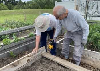 Volunteer Vincentian carpenters are seen repairing the produce bed May 15, 2025, at Our Lady of Guadalupe Church in Frankford, Del., mission parish to St. Ann, Bethany Beach. An expansive garden sitting on a third of an acre of the parish property,, serves neighbors in need within the boundaries of both churches and is the only one of its kind in the diocese. (OSV News photo/Cathy Rossi, The Dialog)