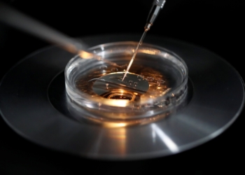 A medical lab technologist carries out an embryo vitrification protocol during an intra-cytoplasmic sperm injection process at a laboratory in Paris Sept. 13, 2019. (OSV News photo/Christian Hartmann, Reuters)