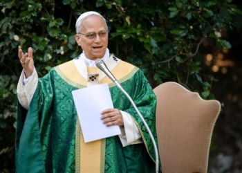 Pope Leo XIV celebrates Mass for the Care of Creation on the grounds of the Borgo Laudato Si’ ecology center in Castel Gandolfo, Italy, July 9, 2025. The vestments Pope Leo XIV is wearing were new and made by Chicago-based House of Hansen. (CNS photo/Cristian Gennari, pool)