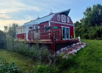 The chapel on the St. Joseph Preserve property, a converted barn that houses several pieces of holy art and a number of relics, is pictured in Paynesville Township, Minn., Aug. XX, 2025.  Molly Zimmerman and her husband Randy purchased and dedicated 340 acres of land in Paynesville Township to create the preserve, a rustic retreat for Catholic renewal, where she hopes people will find peace. (OSV News photo/Dianne Towalski, The Central Minnesota Catholic)