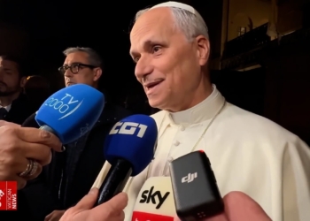 Pope Leo XIV is seen speaking to journalists outside the Palazzo Barberini in Castel Gandolfo, Italy, in a screen shot from a video taken Nov. 4, 2025. (CNS photo/screen grab, Vatican Media)