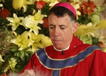 Archbishop James F. Checchio of Metuchen, N.J., is seen in this file photo. Archbishop Checchio, outgoing chairman of the U.S. Conference of Catholic Bishops said Nov. 11, 2025, the conference is on solid financial footing, having restructured some operations while weathering the end of key federal refugee resettlement contracts, during the USCCB’s annual fall plenary meeting. (CNS photo/Gregory A. Shemitz)