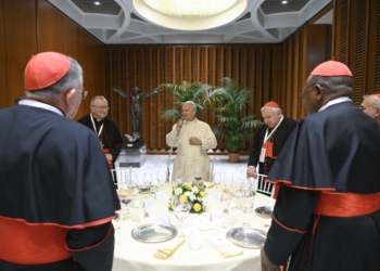 Pope Leo XIV holds a consistory with cardinals from around the world at the Vatican Jan. 8, 2025. (OSV News photo/Simone Risoluti, Vatican Media)