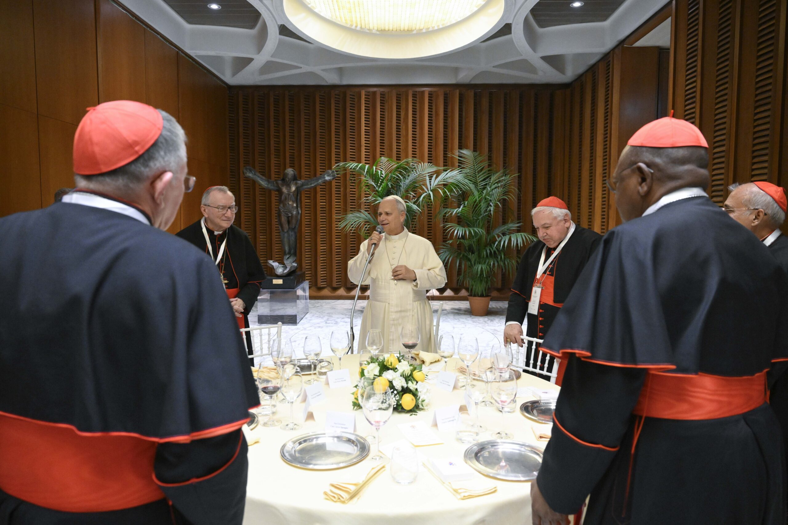 Pope Leo XIV holds a consistory with cardinals from around the world at the Vatican Jan. 8, 2025. (OSV News photo/Simone Risoluti, Vatican Media)