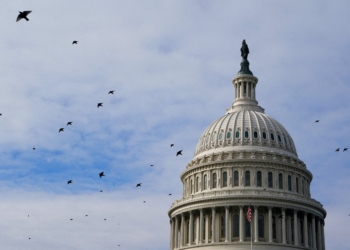 Birds fly past the U.S. Capitol dome in Washington, D.C., January 4, 2026. (OSV News photo/Elizabeth Frantz, Reuters)