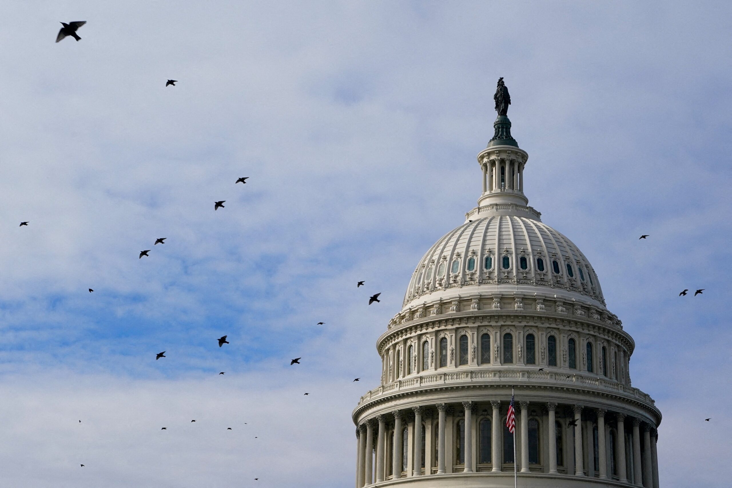 Birds fly past the U.S. Capitol dome in Washington, D.C., January 4, 2026. (OSV News photo/Elizabeth Frantz, Reuters)