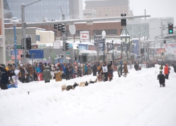 A sled dog team awaits the signal to go at the 54th annual Iditarod Trail start line in Downtown Anchorage, Alaska, on March 7, 2026. The Napa Institute group was able to spectate from the street. (OSV News photo/Levi Livengood, Archdiocese of Anchorage-Juneau)